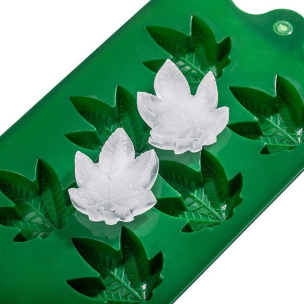 Foremka na lód ganja